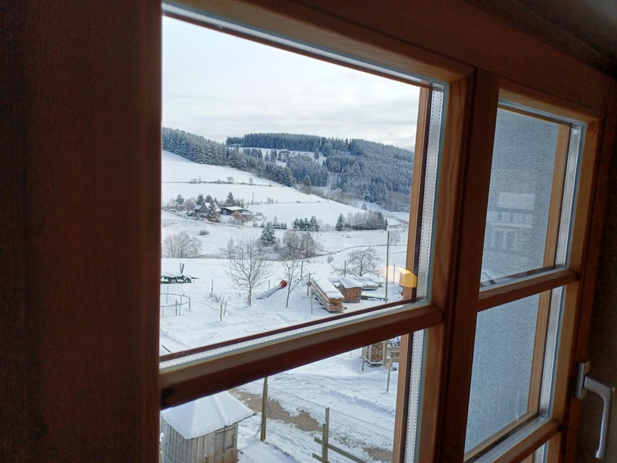 Schwarzwaldstube Apartment ทิทิเซ-นอยชตัดท์ ภายนอก รูปภาพ