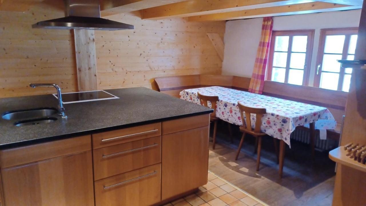 Schwarzwaldstube Apartment ทิทิเซ-นอยชตัดท์ ภายนอก รูปภาพ