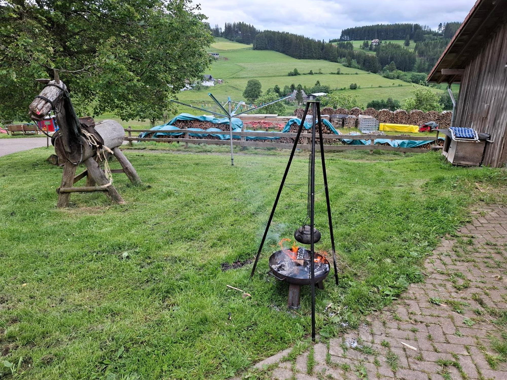 Schwarzwaldstube Apartment ทิทิเซ-นอยชตัดท์ ภายนอก รูปภาพ